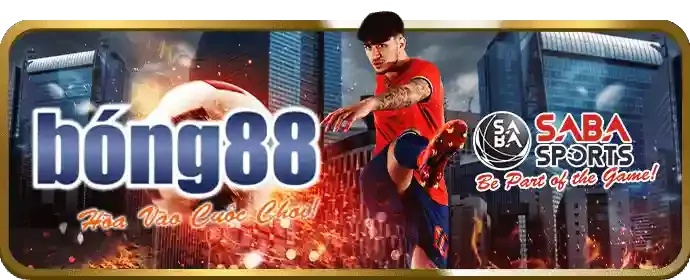 Cá cược bóng đá Wstar777