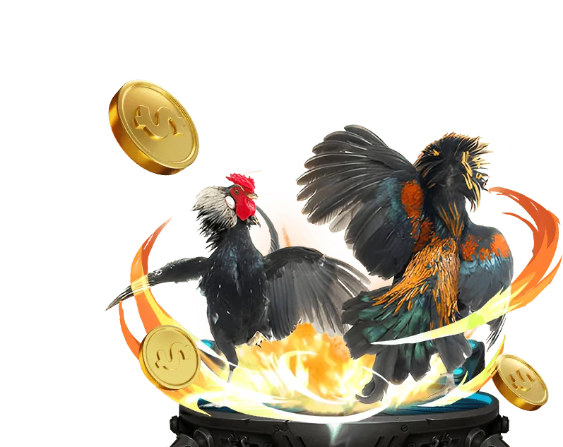 Tổng quan Chính sách Cookie